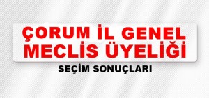 il_genel_meclisi