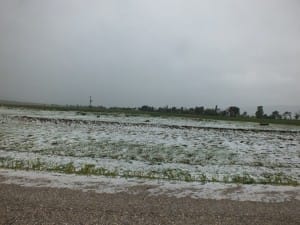 ÇORUMLU ÇİFÇİLERİ DOLU VURDU