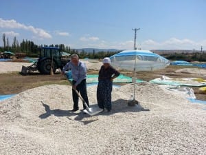 chp çorum il başkanı cengiz atlas (3)