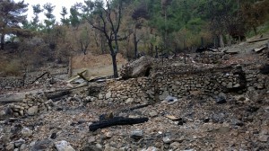 çordef yukarı zeyti (5)