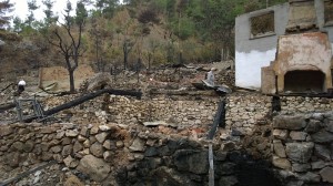 çordef yukarı zeyti (6)