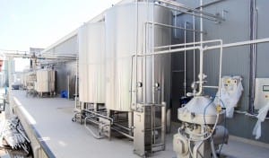 dalgıçlar çiftliği (1)