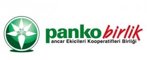 Pankobirlik