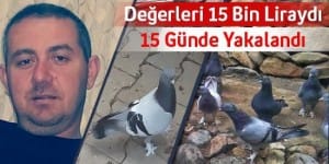 11015895_10206202615650508_83365900_n