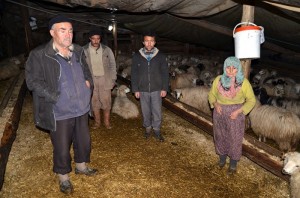 ÇORUM?DA TOPLU HAYVAN ÖLÜMLER? OSMANCIK ?LÇES?NDE B?R ÜRET?C? YAPILAN A?IDAN SONRA 100 KÜÇÜKBA? HAYVANININ ÖLDÜ?ÜNÜ ?DD?A ETT? ?LÇE TARIM MÜDÜRLÜ?Ü HAYVANLARDAN ALDI?I NUMUNEY? ?NCELENMES? ?Ç?N ANKARA'YA GÖNDERD? HAYVANLARIN ÖLÜM SEBEB? VE BULA?ICI HASTALIK TA?IYIP TA?IMADIKLARI HENÜZ BEL?RLENEMED? VETER?NER HEK?M ÖZKAN UYSALER: "ÖLÜMLER?N A?IDAN OLDU?UNU DÜ?ÜNMÜYORUM"