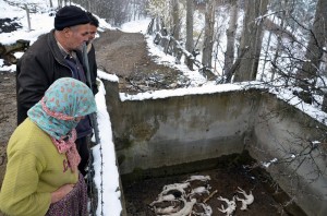 ÇORUM?DA TOPLU HAYVAN ÖLÜMLER? OSMANCIK ?LÇES?NDE B?R ÜRET?C? YAPILAN A?IDAN SONRA 100 KÜÇÜKBA? HAYVANININ ÖLDÜ?ÜNÜ ?DD?A ETT? ?LÇE TARIM MÜDÜRLÜ?Ü HAYVANLARDAN ALDI?I NUMUNEY? ?NCELENMES? ?Ç?N ANKARA'YA GÖNDERD? HAYVANLARIN ÖLÜM SEBEB? VE BULA?ICI HASTALIK TA?IYIP TA?IMADIKLARI HENÜZ BEL?RLENEMED? VETER?NER HEK?M ÖZKAN UYSALER: "ÖLÜMLER?N A?IDAN OLDU?UNU DÜ?ÜNMÜYORUM"