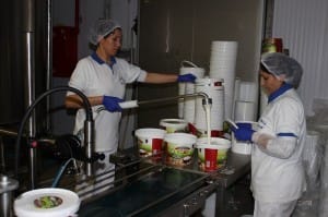 IMG_0478