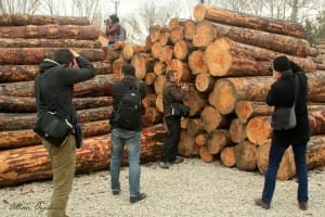 hÄ±dÄ±rlÄ±k mevkiinde foto safari (2)