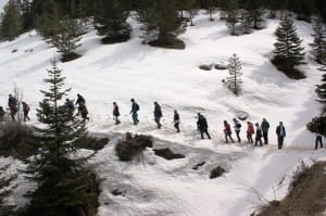 Kansere İnat Hareketli Yaşam Halk Sağlığı Müdürlüğü İsdak Yürüyüşü (14)