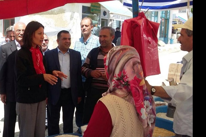 11127884_10204164828702839_1107338434_n