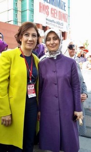 SARE DAVUTO?LU?NDAN, CER?TO?LU?NA DESTEK