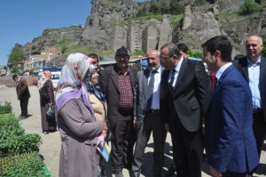 DSC_1236_800x531 (1)