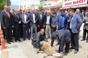 AK PART??DEN ORTAKÖY?DE GÖVDE GÖSTER?S? ORTAKÖY BELED?YE BA?KANI TANER ?SB?R; ?MAZERET ÜRETMED?K, H?ZMET ÜRETT?K? AK PART? ÇORUM M?LLETVEK?L? ADAYI LÜTF?YE ?LKSEN CER?TO?LU KURT; ?ORTAKÖY MARRKA KENT OLMAYA DEVAM EDECEK?