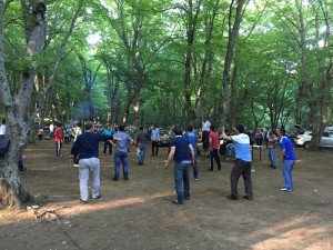 aÅŸaÄŸÄ± zeytin (3)