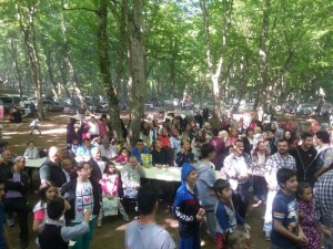 aÅŸaÄŸÄ± zeytin (5)