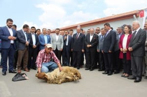 kamyoncular garjı açılış (4)