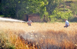 OSMANCIK?TA ARPA TARLASI YANDI