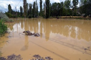 TARIM ARAZ?LER? GÖLE DÖNDÜ