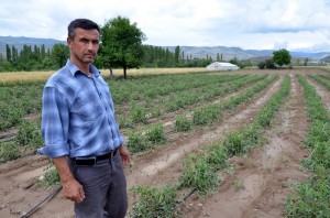 TARIM ARAZ?LER? GÖLE DÖNDÜ