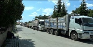 TMO SUNGURLU?DA HUBUBAT ALIMINA BA?LADI