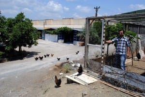 ONLARI KENELERDEN TAVUK VE KAZLAR KORUYOR