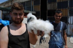 ONLARI KENELERDEN TAVUK VE KAZLAR KORUYOR
