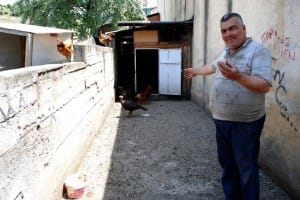 ONLARI KENELERDEN TAVUK VE KAZLAR KORUYOR