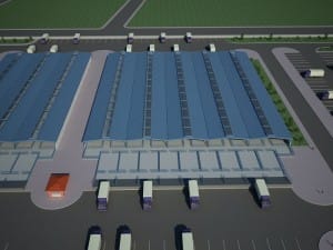 yeni hayvan pazarı (2)