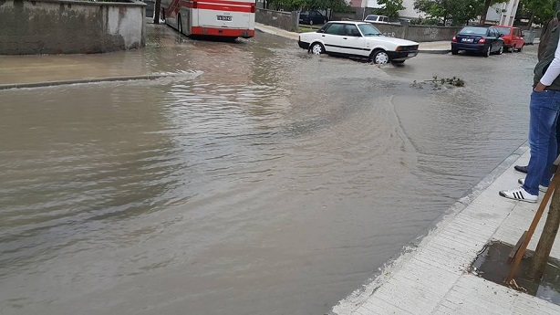 13226971_10201631624429157_6537470769668630602_n