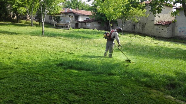 SUNGURLU ÇİM BİÇME ÇALIŞMLARI (SERKAN ŞANSEVER/ÇORUM-İHA)
