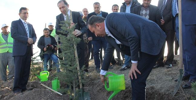 ÇORUM’DA HATIRA ORMANI OLUŞTURULDU