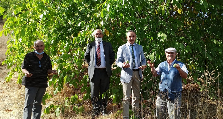 BOĞAZKALE’DE MEYVE ÜRETİCİLERİ ZORDA