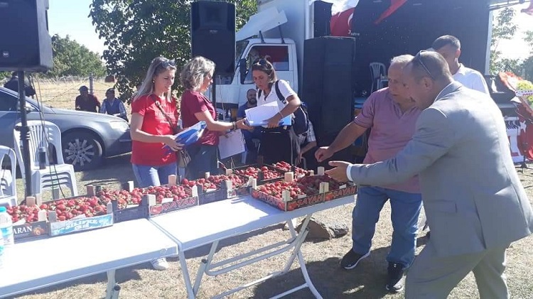 Armut ve çilek festivali gerçekleştirildi