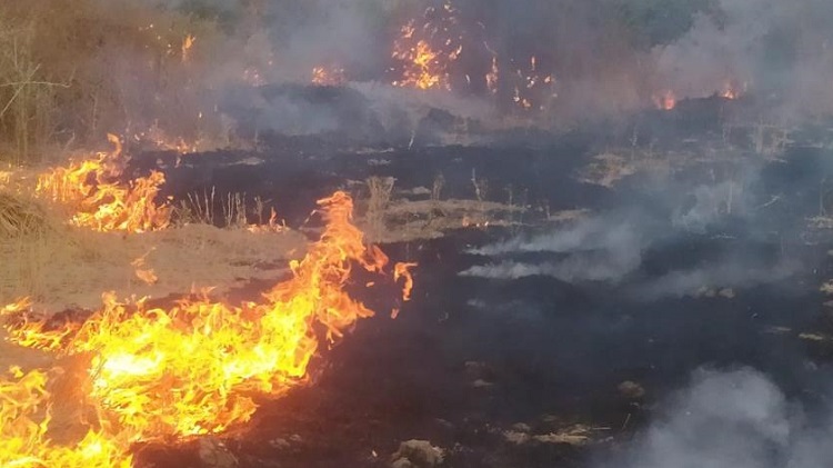 Ağaçlık alanda yangın zor söndürüldü