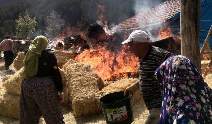 Yangında 150 saman balyası kül oldu