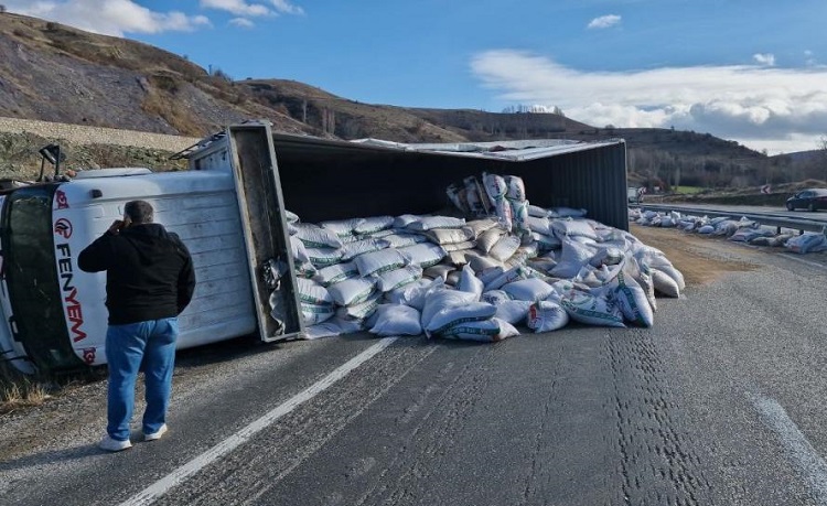 Hayvan yemi yüklü tır devrildi!