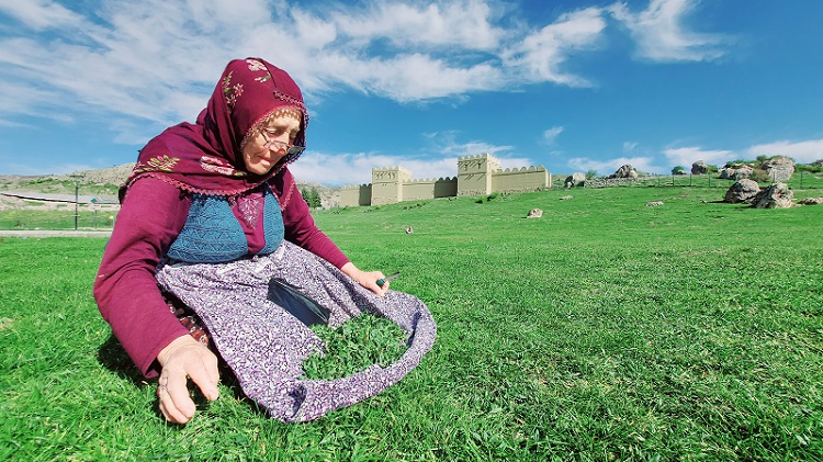 Çorum’un yöresel lezzeti madımak!