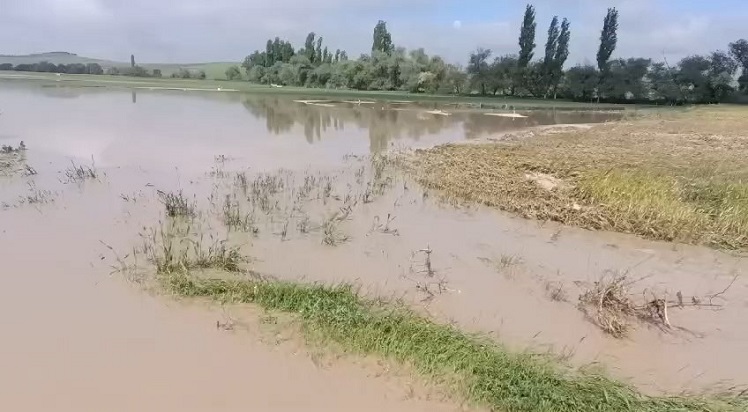 Tarım arazileri sular altında kaldı