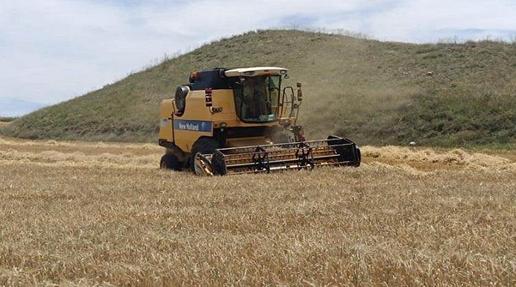 Çorum’da hasat sezonu açıldı