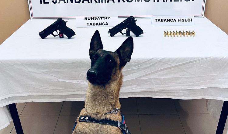 Jandarma köpeğinin dikkati ele verdi!