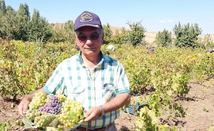 Sungurlu Beyaz’ına uluslararası inceleme