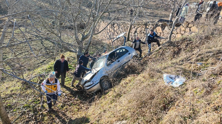 Otomobil yoldan çıkarak bahçeye düştü